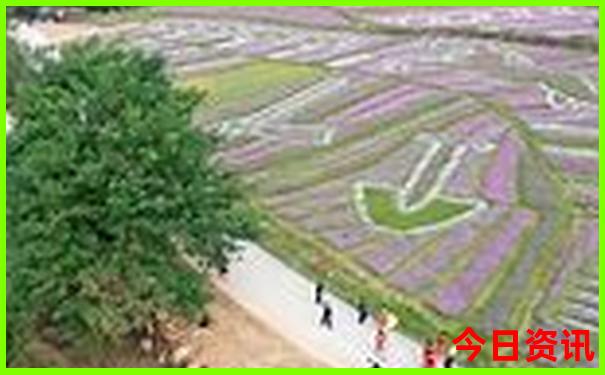 福建南澳岛旅游攻略