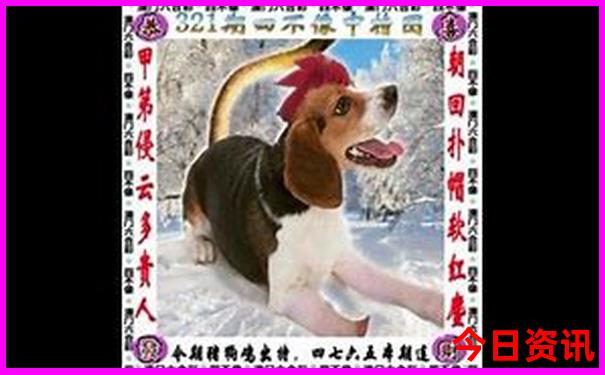 西藏游旅游团报价